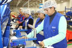 Employee in a manufacturing plant, Tijuana Mexico